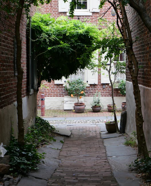 A narrow garden access pathway bordered by brick walls on both sides, with a brick-paved walkway leading to a small outdoor courtyard. The pathway is shaded by overhanging branches and dense green foliage, including a large leafy shrub or tree canopy at the entrance. Along the sides, there are patches of soil with some creeping plants and scattered stones. The courtyard features several potted plants of varying sizes, including a prominent small tree or shrub in a large terracotta pot, and additional containers with flowering or leafy plants. The background shows a white-painted wall with window shutters, and the overall scene is illuminated by soft, natural daylight, indicating a quiet, well-maintained outdoor space suitable for garden maintenance or landscaping work, as managed by Gardeners Kennington.