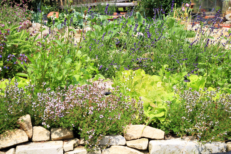 garden trees