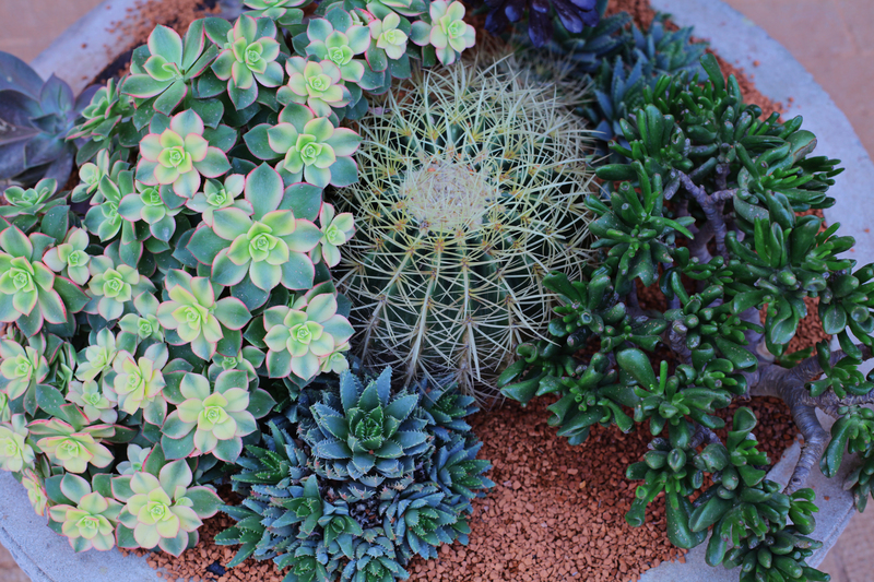 Garden outdoor space